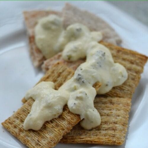 Warm Cheesy Broccoli Dip (to share!) 1