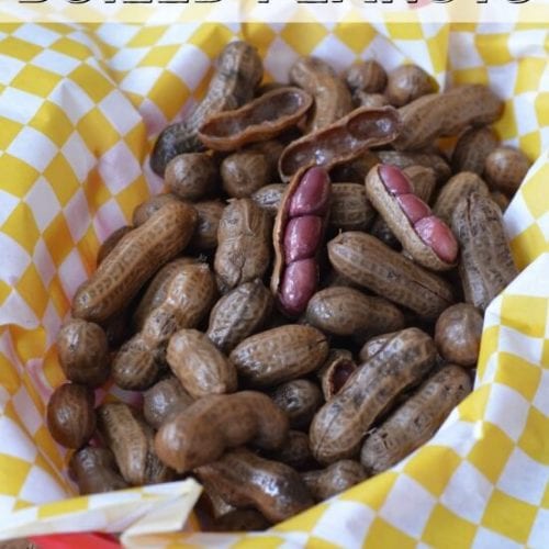 Easy Slow Cooker Boiled Peanuts