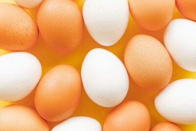 Types of eggs.