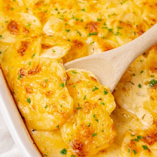 Scalloped potatoes.